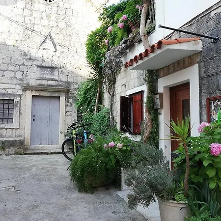 Lola * Trogir